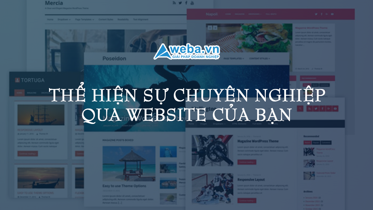 Công ty dịch vụ thiết kế web chuyên nghiệp ở Tân Bình, Thành phố Hồ Chí Minh